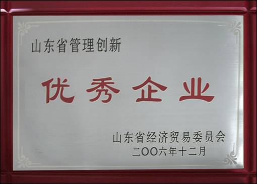 山東省管理(lǐ)創新優秀企業(yè)